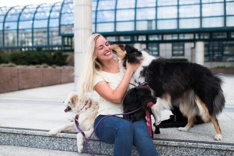 average cost of dog sitting