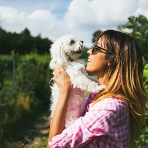 Best Dog sitting in your neighbourhood