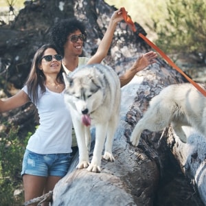 Best Dog walking in your neighbourhood