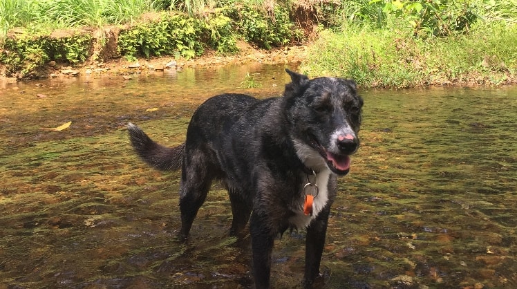 Rowena in Bribie island back image