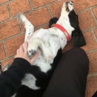 Buster Buster