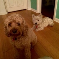 Baxter, Hunter, Charlie Baxter, Hunter, Charlie