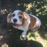Lucy Lucy