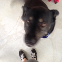 Dudley Dudley