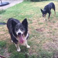 Duke, Kirra Duke, Kirra