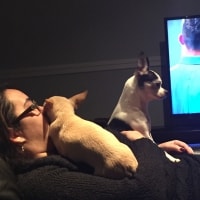 Romeo, Suki Romeo, Suki