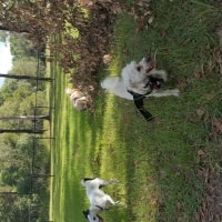 Lucy , Minni Lucy , Minni