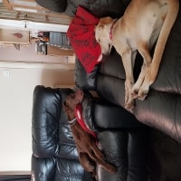 Max, Nara Max, Nara