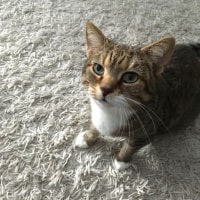 Emma Emma