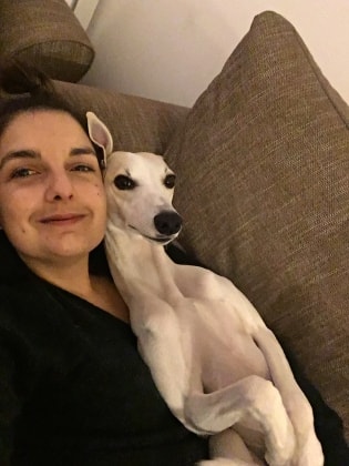 Resultado de imagen para whippet cuddle